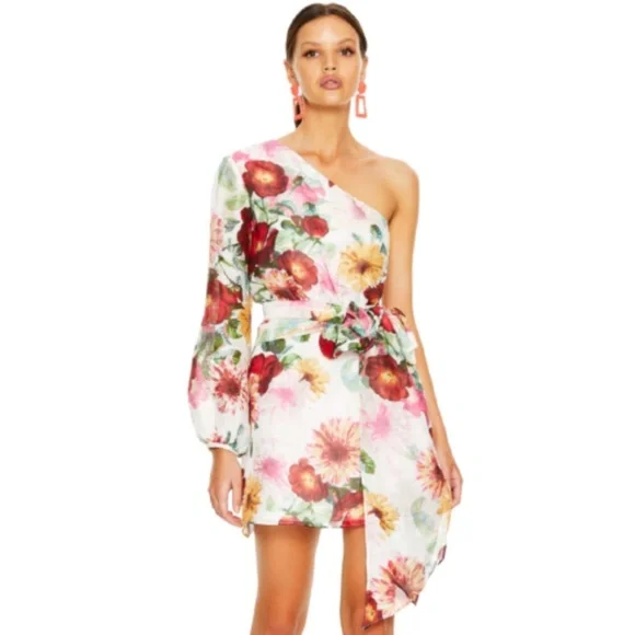 NWT La Maison Talulah Garland Mini Dress Womens Small Cream Red Floral One Arm